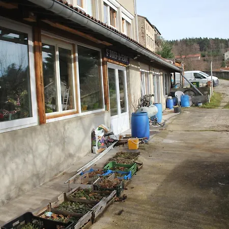 Dormirici *